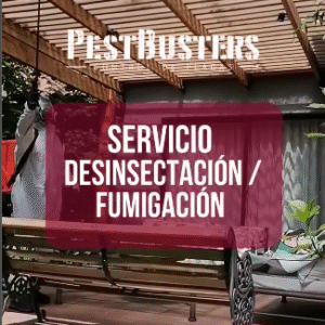 PESTBUSTERS FUMIGACIONES
