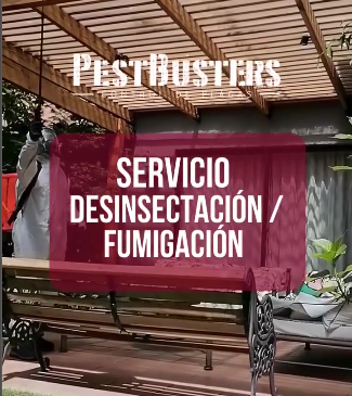 PESTBUSTERS FUMIGACIONES