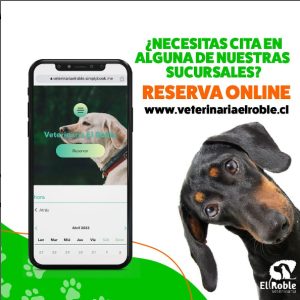 EL ROBLE VETERINARIA