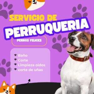 Peluquería Canina Quilicura